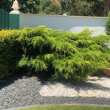 Paradise Valley House