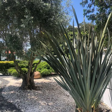 Paradise Valley House Holiday home Sao Martinho do Porto