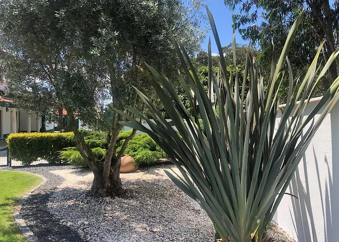 Paradise Valley House Holiday home Sao Martinho do Porto